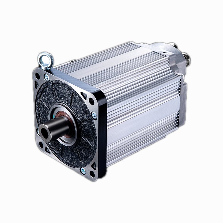 عرض ساخن: محرك كهربائي 30 كيلو - مراجعة Ev Electric Motor Conversion Kit Car وسعره
